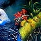thumbnail image 3 of Pintura de diamante 5D perfecl imagen de artesanías Pájaro azul, 3 of 7