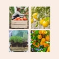 thumbnail image 4 of Ciseaux Multi-Usages en Acier Inoxydable Revêtus de Titane Outils Industriels pour Élagage Jardinage, 4 of 9