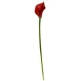 thumbnail image 1 of Nearly Natural 2113-S12-RD Fleur Artificielle Calla Lily 19.5 Po, Rouge - Ensemble de 12, 1 of 1