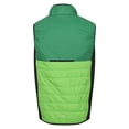 thumbnail image 2 of Regatta Mens Halton VII Padded Gilet, 2 of 6