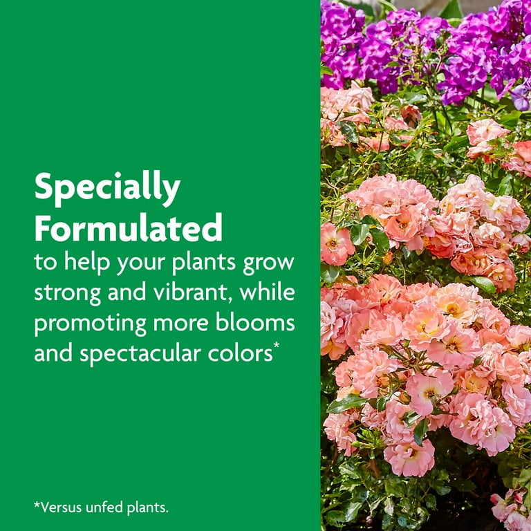 Miracle-Gro Shake 'N Feed Rose & Bloom Plant Food 4.5 lbs