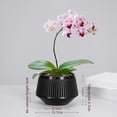 thumbnail image 1 of Flower pot root control breathable double layer flower pot plastic resin pot, 1 of 10