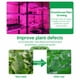 thumbnail image 4 of Tira De Luz Para Cultivo De Plantas Solares, 9,8 Pies, Ahorro De Energía, Disipación De Calor IP65, Tira De Lámpara De Cultivo LED Confiable E Impermeable Para Invernadero, 4 of 7