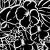 Black White Flower
