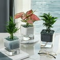 thumbnail image 1 of Automatic Self Watering Succulent Plant Flower Pot PP Planter Home Garden Decor, 1 of 9