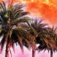 thumbnail image 2 of Nall, Skip 26x26 Gold Ornate Wood Framed with Double Matting Museum Art Print Titled - Hifi Palms I, 2 of 4