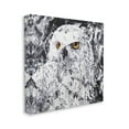 thumbnail image 3 of Stupell Industries Modern Snowy Owl Portrait Painting Gallery Wrapped Canvas Print Wall Art, Design by Joseph Marshal Foster, 3 of 7