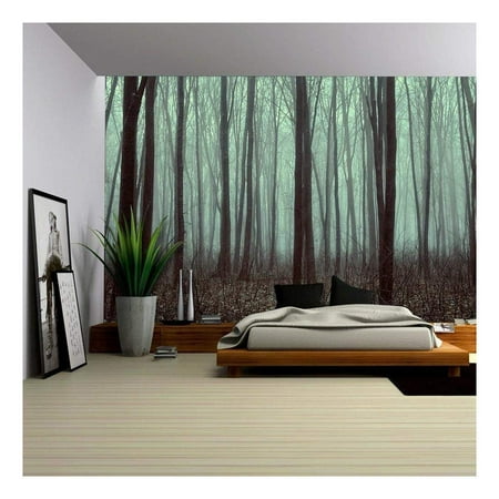wall26 - Beautiful Forest with Fog. Beauty Nature Background - Removable Wall Mural | Self-Adhesive Large Wallpaper - 100x144