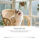 thumbnail image 5 of Kit de pasta dental para perros y gatos con cepillo de dientes de 75 g y cepillo de dedo. Ayuda a refrescar el aliento y el cuidado bucal., 5 of 9