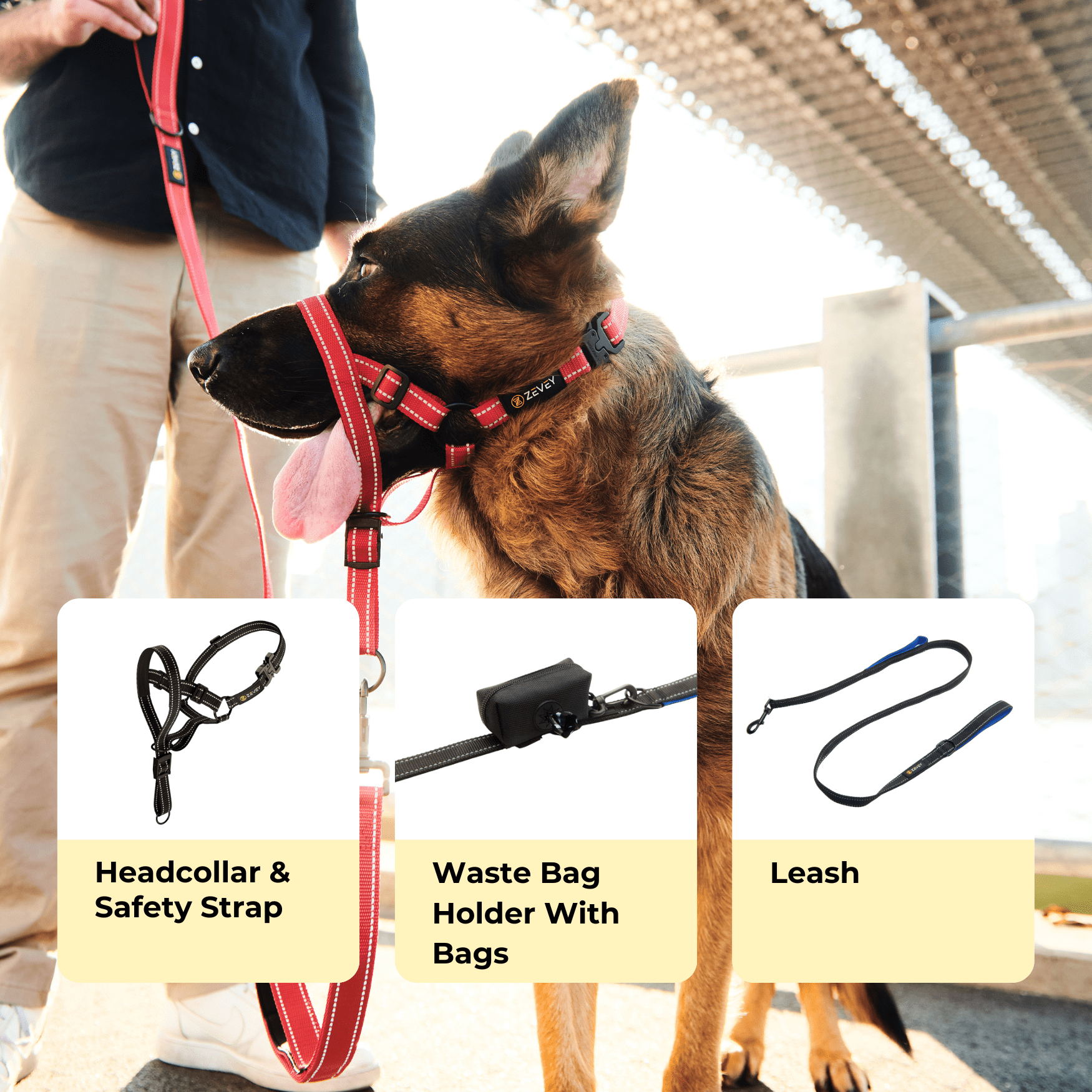 Zevey Dog Headcollar With Leash And Safety Strap Stops Heavy Pulling On The Leash Padded Reflective Head Halter For Small Medium Large Dogs Adjustable Head Harness For Training And Walking (M, Black)