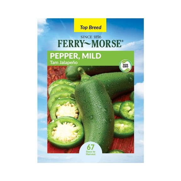 Ferry-Morse 250MG Pepper Tam Jalapeno Annual Vegetable Seeds, Full Sun