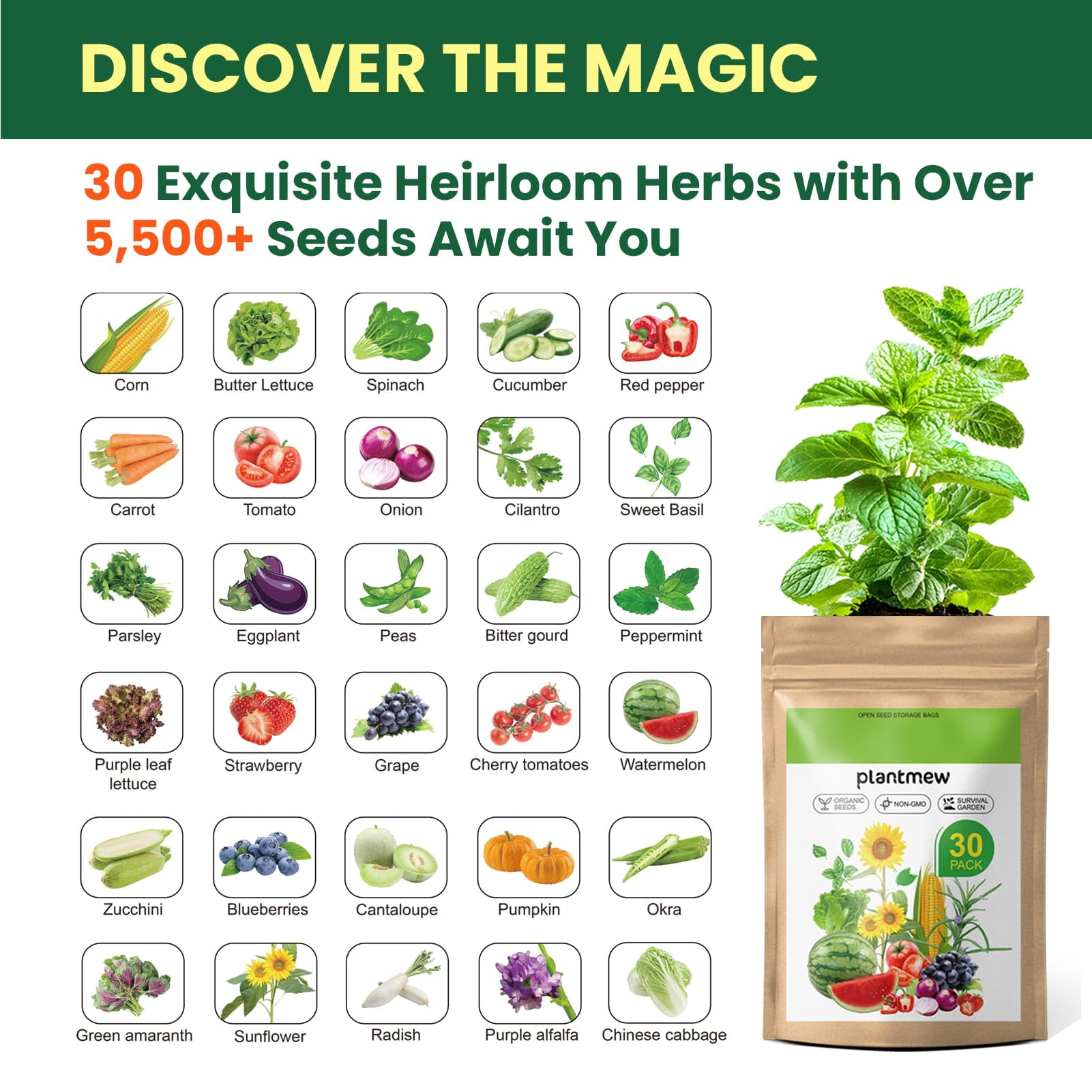 Vegetable Seeds for Planting Outdoors - MVR1&nbsp;30 Varieties Heirloom Non-GMO Garden Seeds Vegetable Variety Pack - Perfect for Vegetable Garden, Survival Kit, and Outdoor Planting