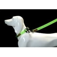 thumbnail image 6 of Glucklich Heavy Duty Nylon Pet Leash - 5 Feet, 6 of 10