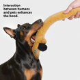thumbnail image 3 of 1M Extended Squeaky Dachshund Companion With Chew Resistant Fabric For Indoor Activity And Training, 3 of 8