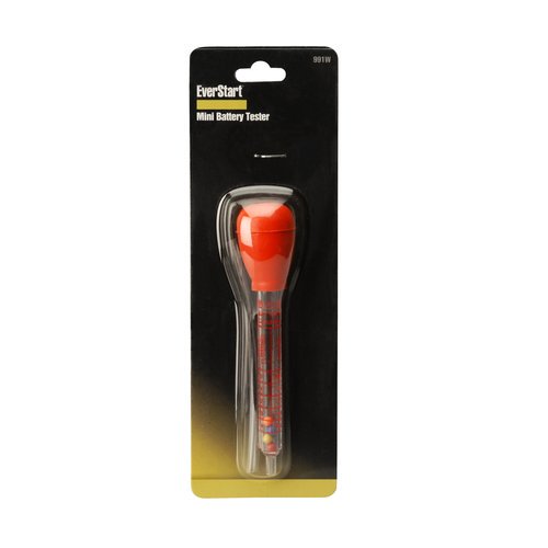 Everstart Battery Atv