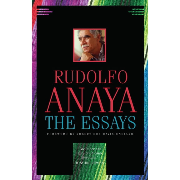Chicana and Chicano Visions of the AmÃ©ri The Essays: Volume 7, (Paperback)