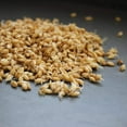 thumbnail image 6 of Organic Hulless Sprouting Barley - 25 Lb - Non-GMO Barley Seed - Husk Removed - Excellent Germination - For Sprouts, Barleygrass, Ornamental Grass, Emergency Supply, More, 6 of 6