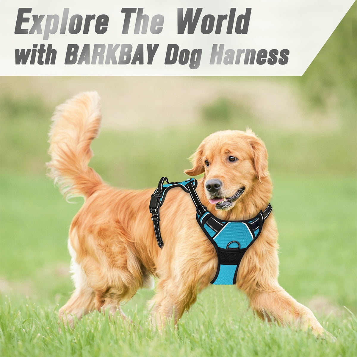 BARKBAY No Pull Dog Harness for Large Dogs with 2 Metal Leash Clips Reflective and Easy Control Handle for Walking Training Running Blue,M