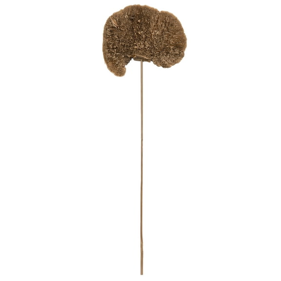 Vickerman Natural Botanicals 4"-6" Sponge Mushroom on 20" Stem, Includes 50 pieces per Pack, Indoor Home or Office Dried and Preserved Decor