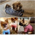 thumbnail image 5 of 6 piezas de camiseta de perro a rayas transpirable ropa para mascotas colorida sudadera para cachorros pequeños a medianos cachorros (M), 5 of 5