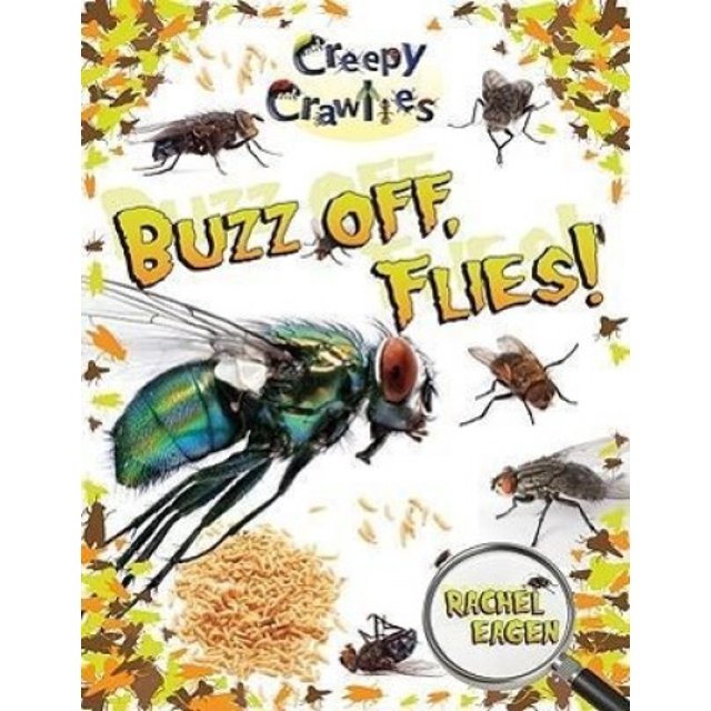 Buzz Off, Mouches! (Crappy Crawlies)
