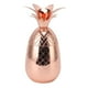 thumbnail image 1 of Cóctelas De Piña Acero Inoxidable Acero Inoxidable 500 Ml De Gran Capacidad De Moda Y Hermosa Segura Para Sacudir Para Cócteles Bebidas Heladas Diseño A Prueba De Fugas, 1 of 7