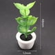 thumbnail image 3 of Miniaturas de casas de muñecas Zulema plantas 1/12, 3 of 8