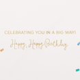 thumbnail image 3 of shiyou-Birthday Card (Celebrating You In A Big Way), 3 of 4