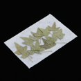 thumbnail image 1 of 12 piezas de Flores prensadas naturales perfecl Flores secas prensadas naturales, 1 of 8