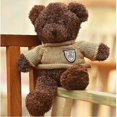 thumbnail image 4 of Logo Star Voice Message Recording Bear Plush Toy Teddy Bear Companion Bear Event Holiday Giveaway (XQ), 4 of 5