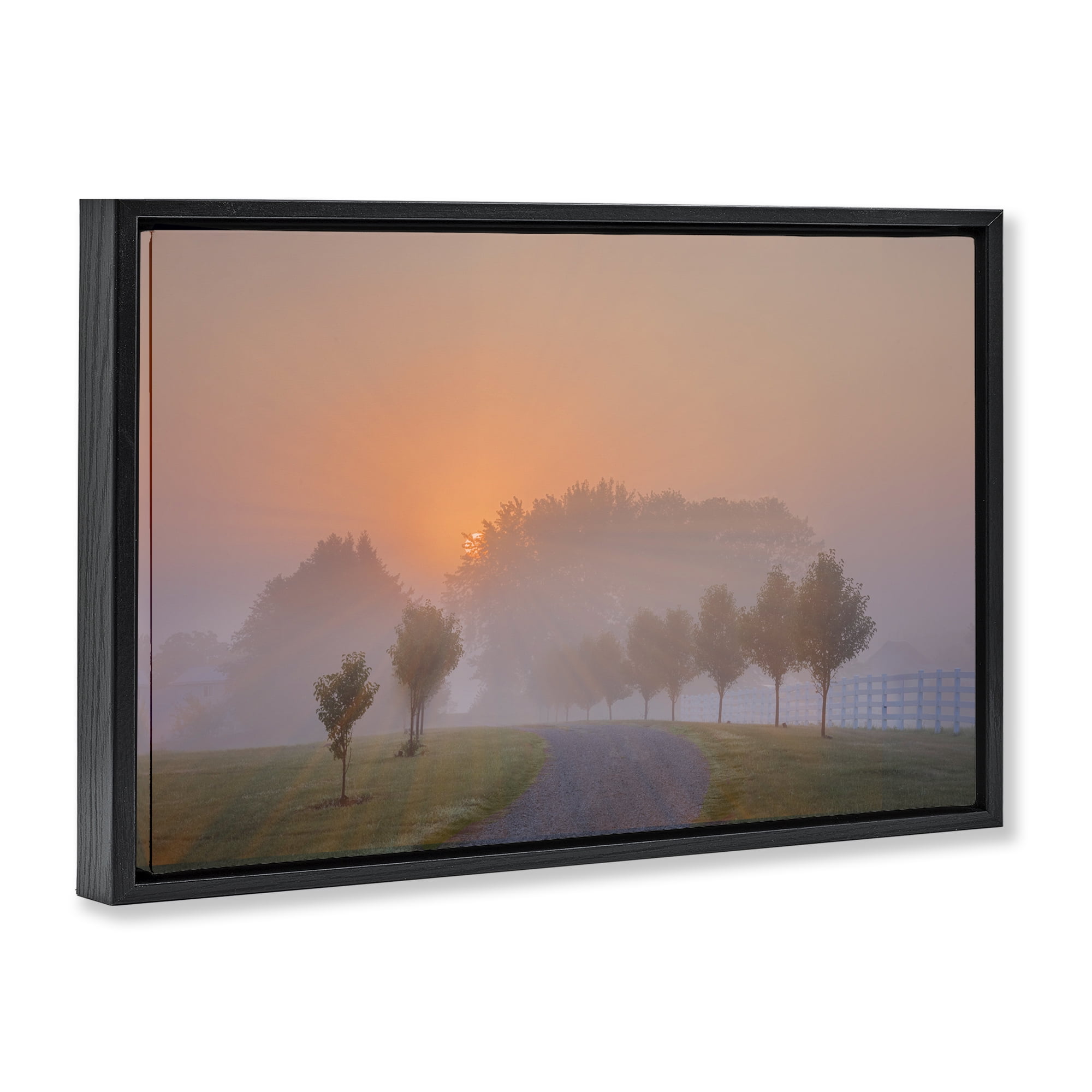 Stupell Industries Grove Path at Sunset Landscape & Nature Photography Black Floater Framed Canvas Art Print Wall Art, 25 x 17
