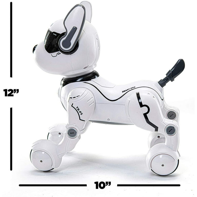 Top Race Interactive Robot Dog Toy for Kids, Smart Dancing to Beat Puppy  Robot, Realistic Robotic Dog