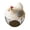 Gray-Brown, variant on Chicken Egg Basket Large Capacity with Ceramic Lid, Metal Wire Egg Storage Basket and Fruit Container with Mesh Iron Holder, Countertop Organizer for Fresh Eggs Vegetables Refrigerator Use