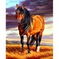 thumbnail image 1 of (SZX1192) Hilo Algodón Ecológico Bordado 11CT 3 Hebras Impresión 40*50cm Kit Serie Punto Cruz Caballo, 1 of 9