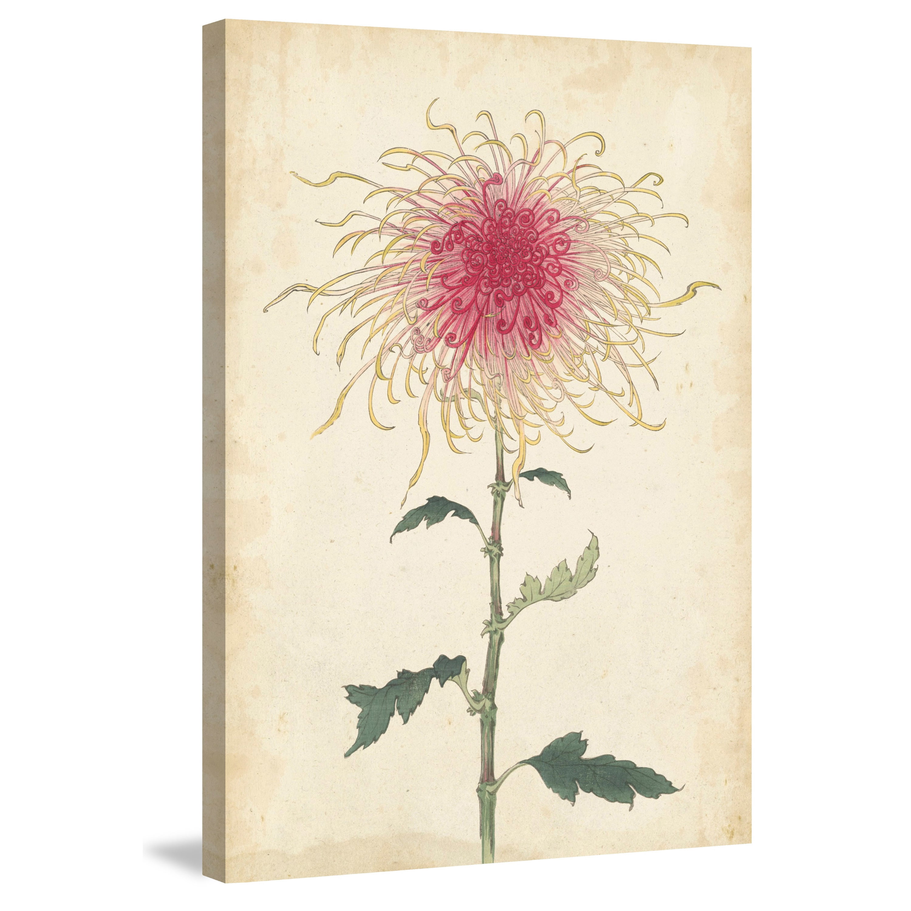 Marmont Hill "Chrysanthemum I" Painting Print on Wrapped Canvas