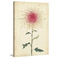 thumbnail image 2 of Marmont Hill "Chrysanthemum I" Painting Print on Wrapped Canvas, 2 of 5