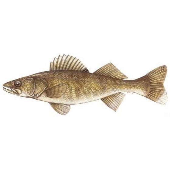 Fish Stix Wall Decal