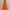 Orange, variant on Women 2 Piece Outfits Sleeveless Crop Top High Waist Long Skirt Set