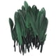 thumbnail image 1 of 50 piezas de plumas de ganso teñidas perfectas para la fabricación de joyas/decoración de disfraces, etc. 4-6" Macarena Pluma de ganso, 1 of 8