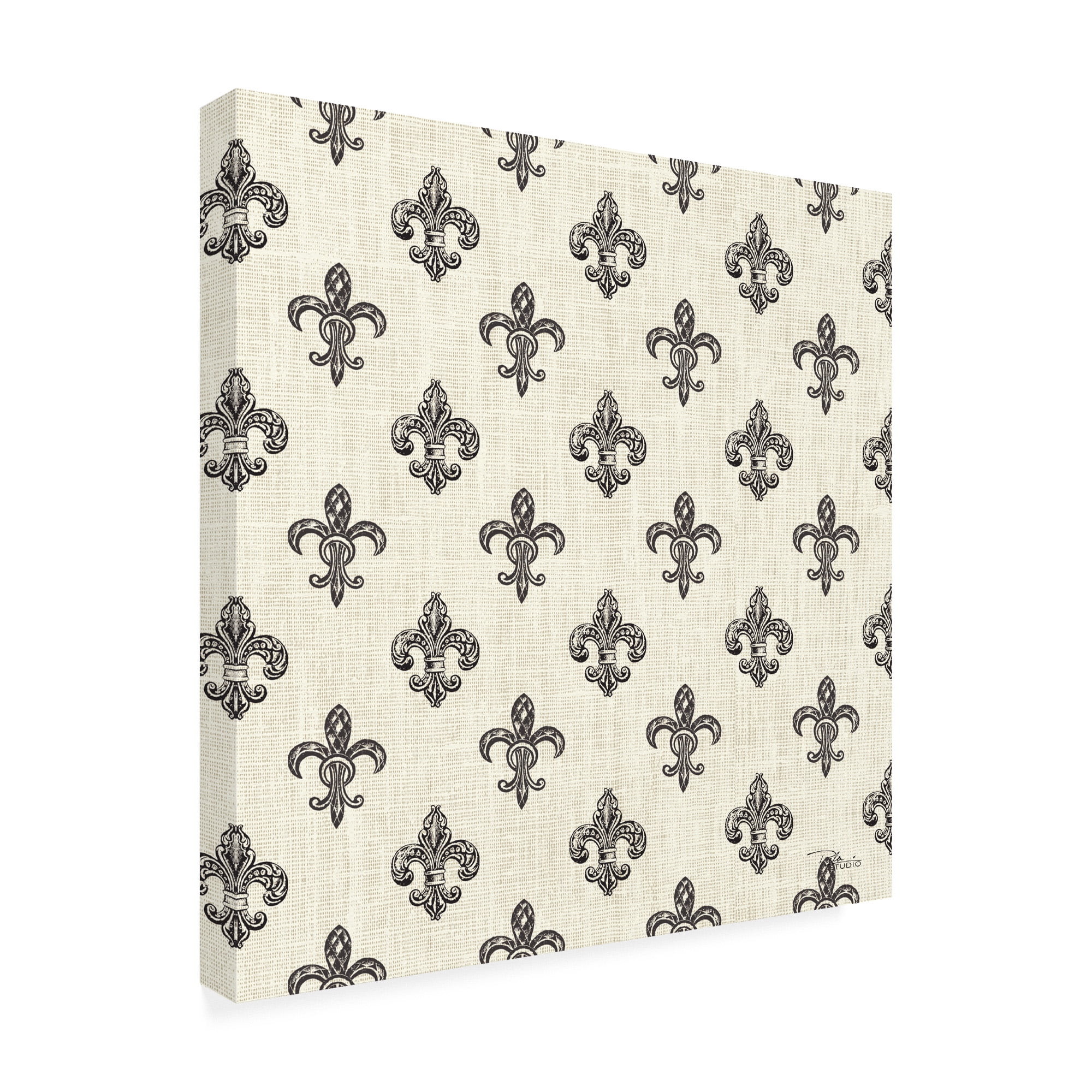 Trademark Fine Art 'Paris Farmhouse Pattern IIIA' Canvas Art by Pela Studio