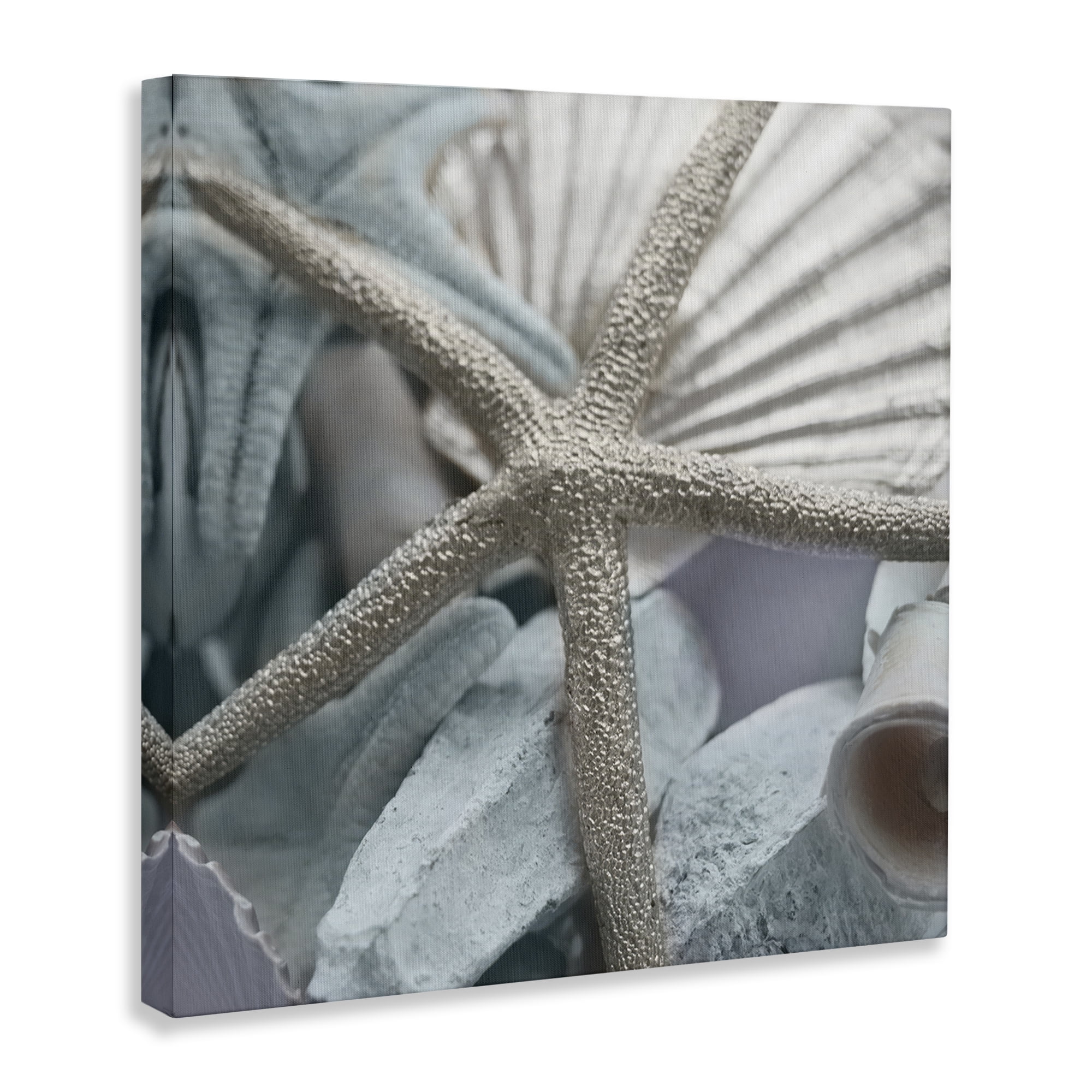 Stupell Industries Seashells & Starfish Nautical & Beach Photography Wrapped Canvas Art Print Wall Art, 36 x 36