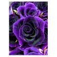 thumbnail image 1 of Taladro diamante pintura (DF4200) flor 5D DIY cuadrado completo bordado Kit punto de cruz 20X30cm Hugtrwg Para estrenar, 1 of 2