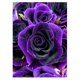 thumbnail image 1 of Taladro diamante pintura (DF4200) flor 5D DIY cuadrado completo bordado Kit punto de cruz 50x70cm FLhrweasw Nuevo, 1 of 1