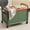 Green, variant on Litrail Large Beige Fabric Storage Bin with Wheels & Strap Handle, Metal Frame for Shoes/Clothes, Under Bed