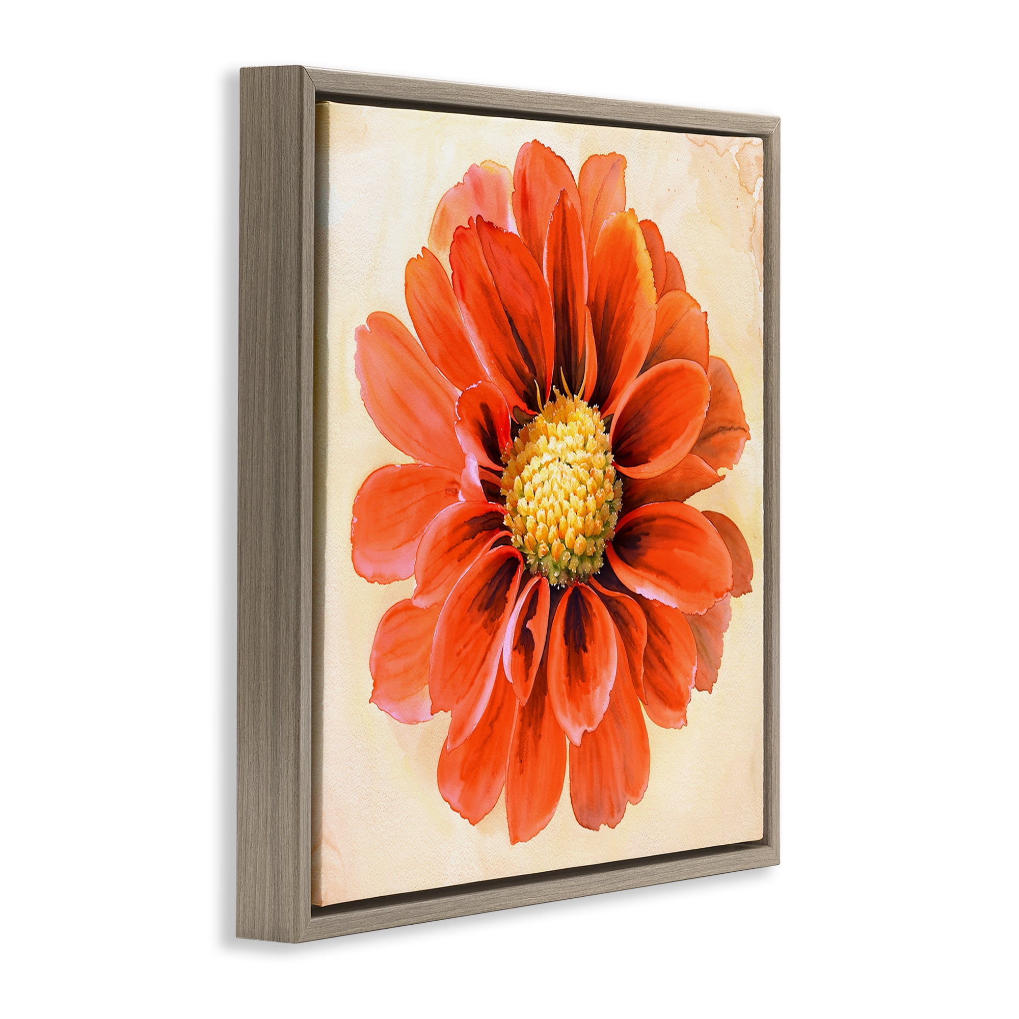 Stupell Industries Orange Dahlia Bloom Plants & Flowers Painting Brown Floater Framed Canvas Art Print Wall Art, 18 x 18