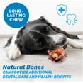 thumbnail image 5 of Knee Caps Beef Bones chews for Dogs (3 Count), 5 of 7