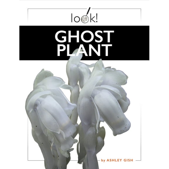 Ghost Plant, (Paperback)