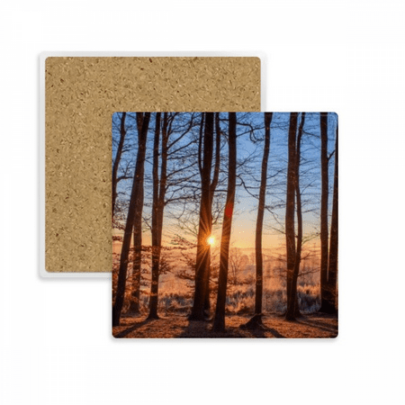 

Dark Forestry Science Nature Scenery Square Coaster Cup Mat Mug Subplate Holder Insulation Stone