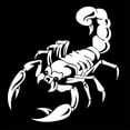 thumbnail image 1 of Scorpion Totem Decals Car Stickers Car Styling Vinyl Decal Sticker for Cars Decoration, 1 of 6