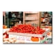 thumbnail image 1 of Cuadro Canvas Pixtreats Chiles Rojos 60X90 cm, 1 of 4
